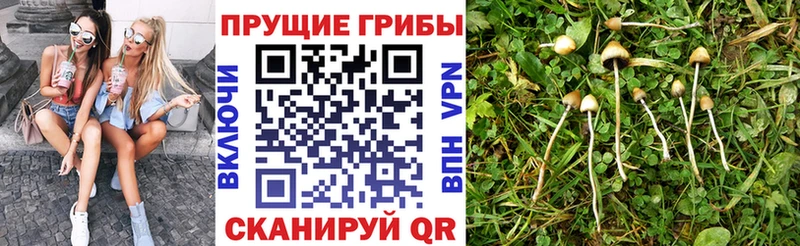 Галлюциногенные грибы Psilocybe  МЕГА рабочий сайт  Ясный 